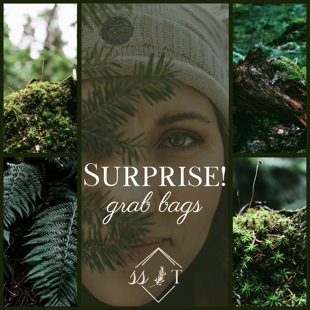 Mystery Bags