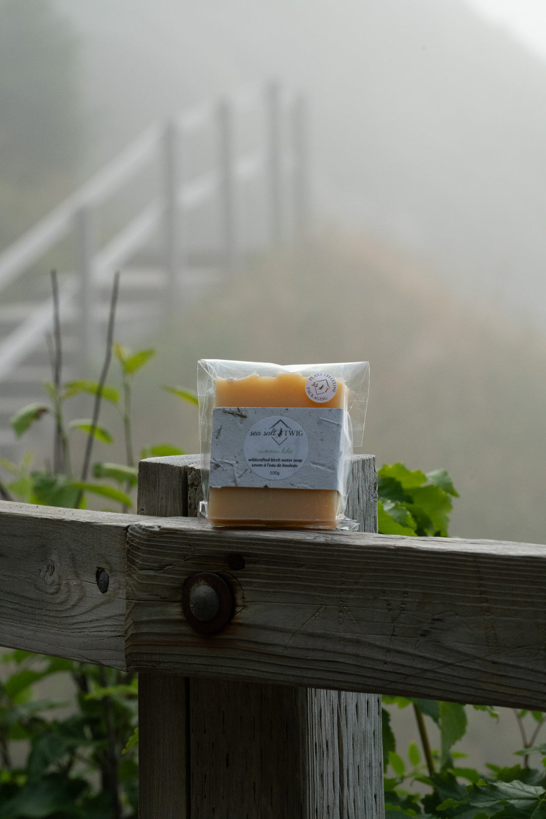 Infused Soap Bars