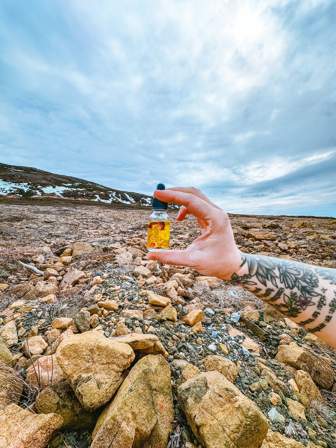 Wild Rose + Gold Serum