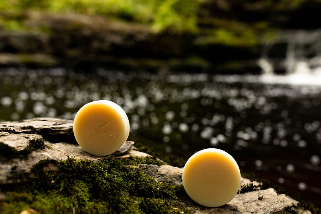 Shampoo + Shave Bars