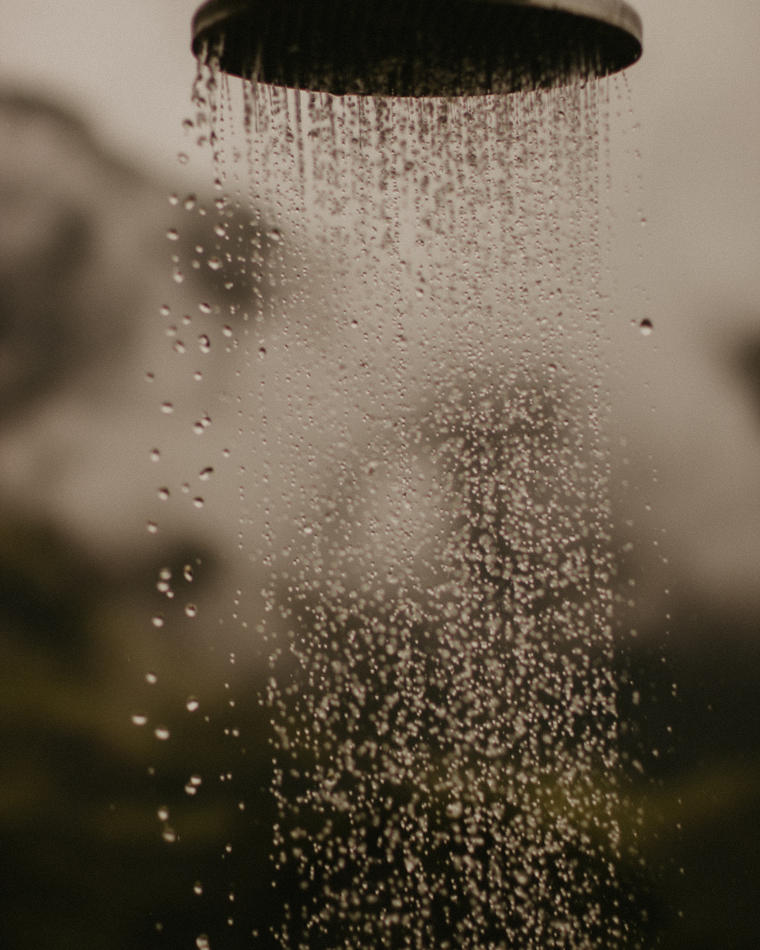 Raw Island Shower Melts