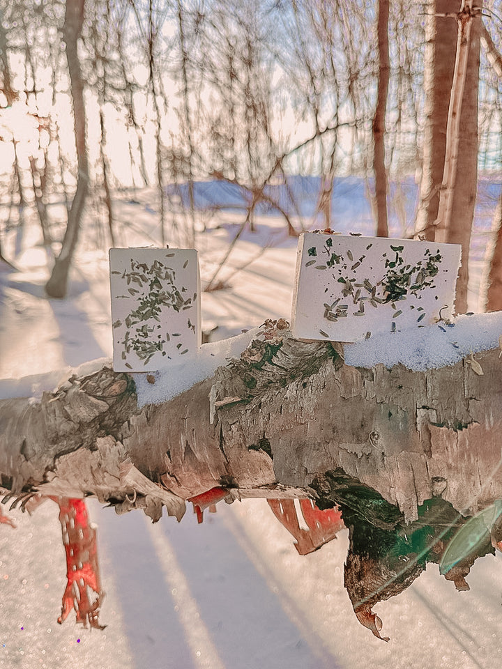 Wild Mint + Lavender Infused Soap