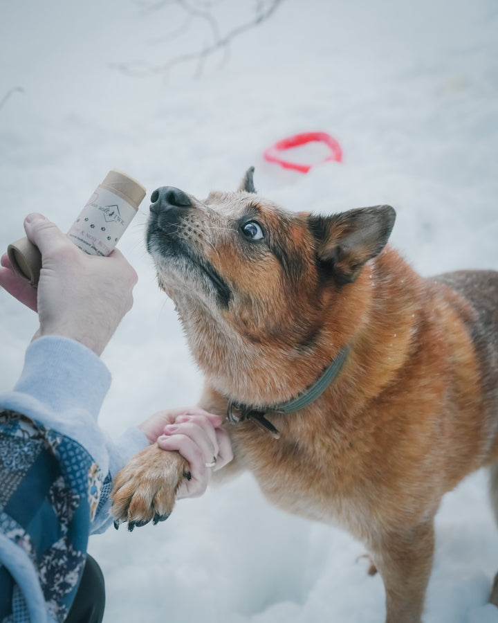 Paw & Nose Butter