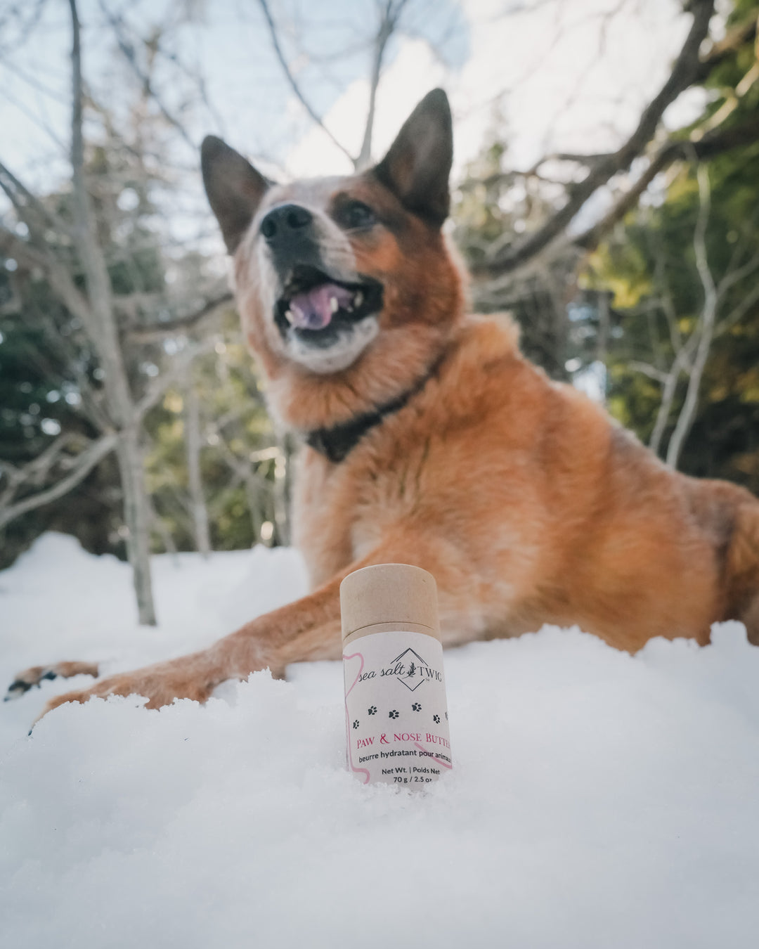 Paw & Nose Butter