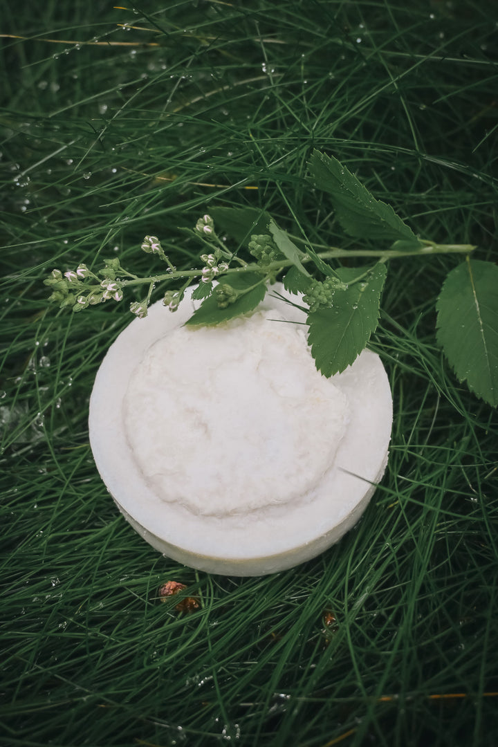 Lemon + Loofah Salt Soap
